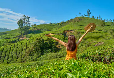 Kochi – Munnar and Kumarakom Tour