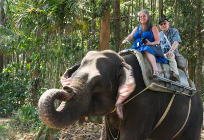 Kochi Munnar Thekkady Alleppey Tour