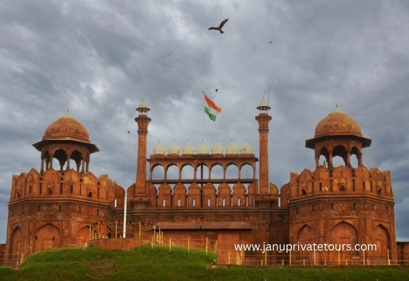 A Journey Through India’s Wilderness