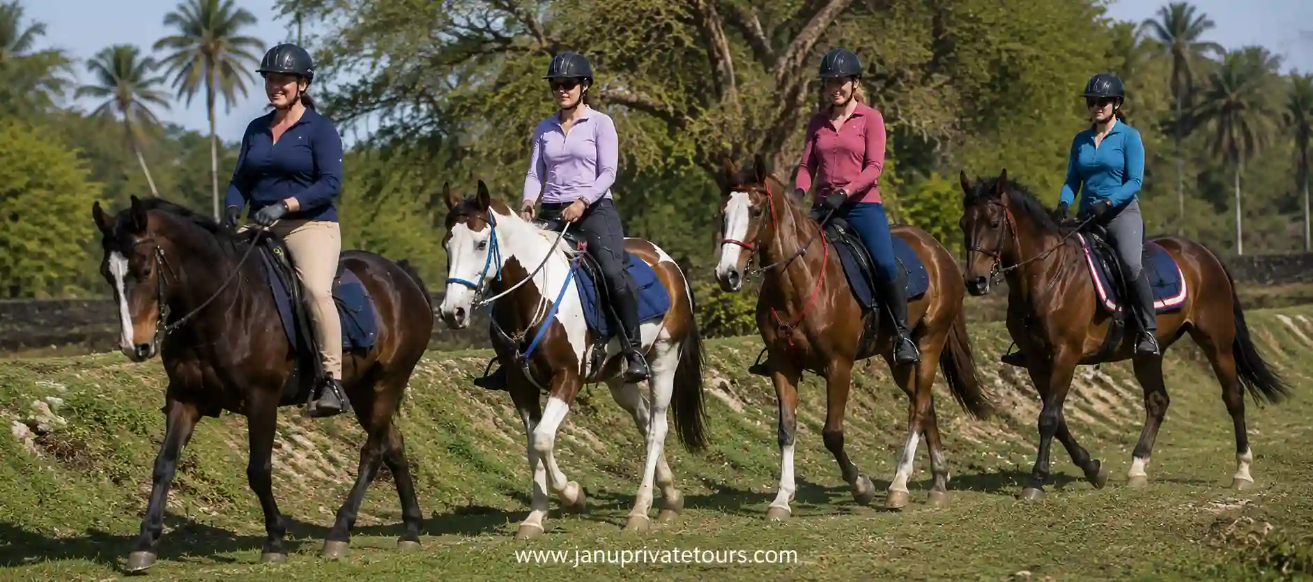 Horse Safari Udaipur: Explore Rajasthan's Hidden Trails on Horseback