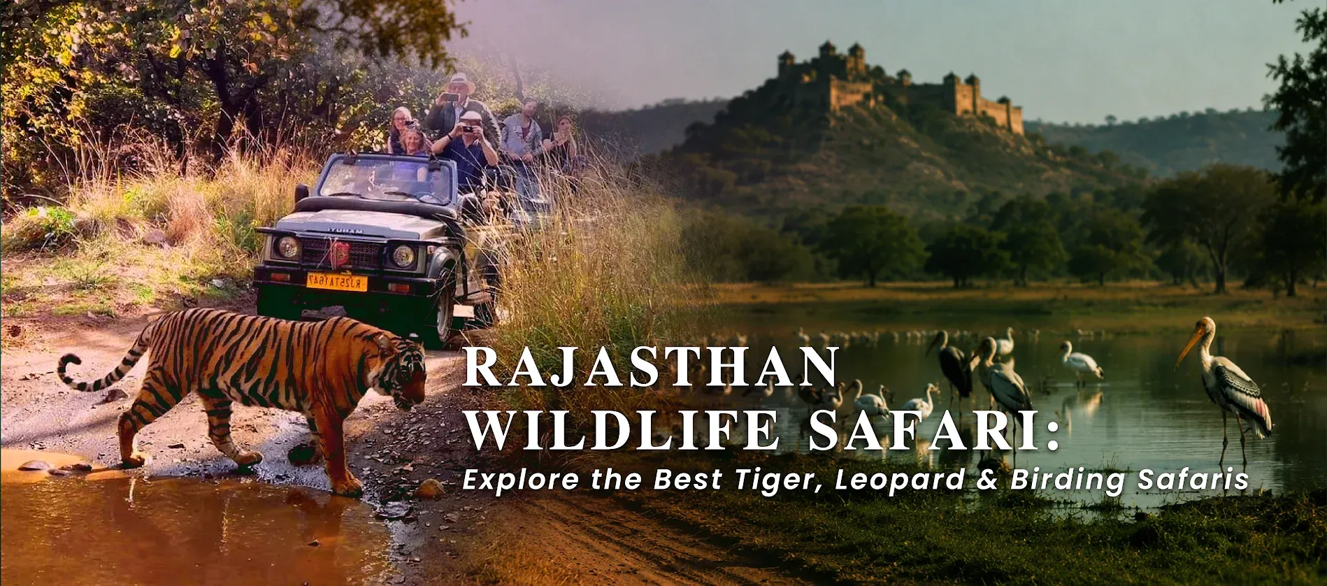 Rajasthan Wildlife Safari: Explore the Best Tiger, Leopard & Birding Safaris 