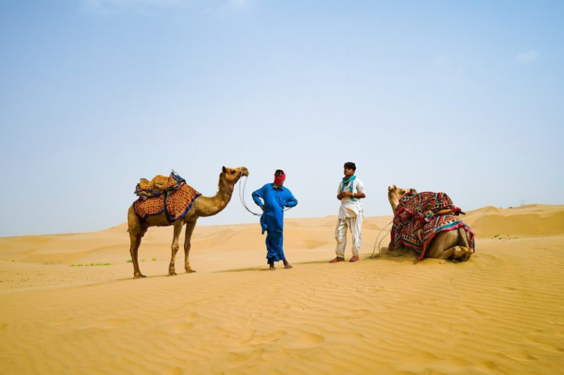 Royal Rajasthan Tour: Explore Forts, Palaces & Desert Adventures