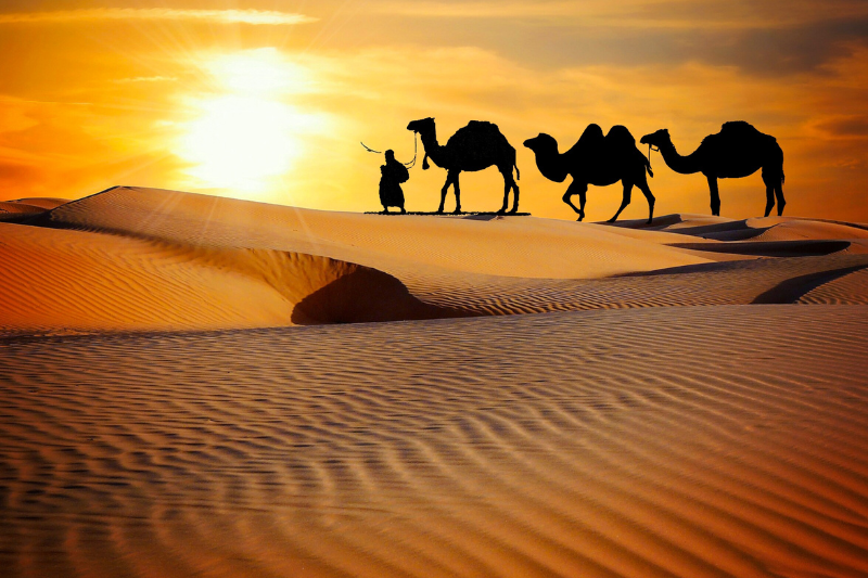 Best Season To Visit Rajasthan