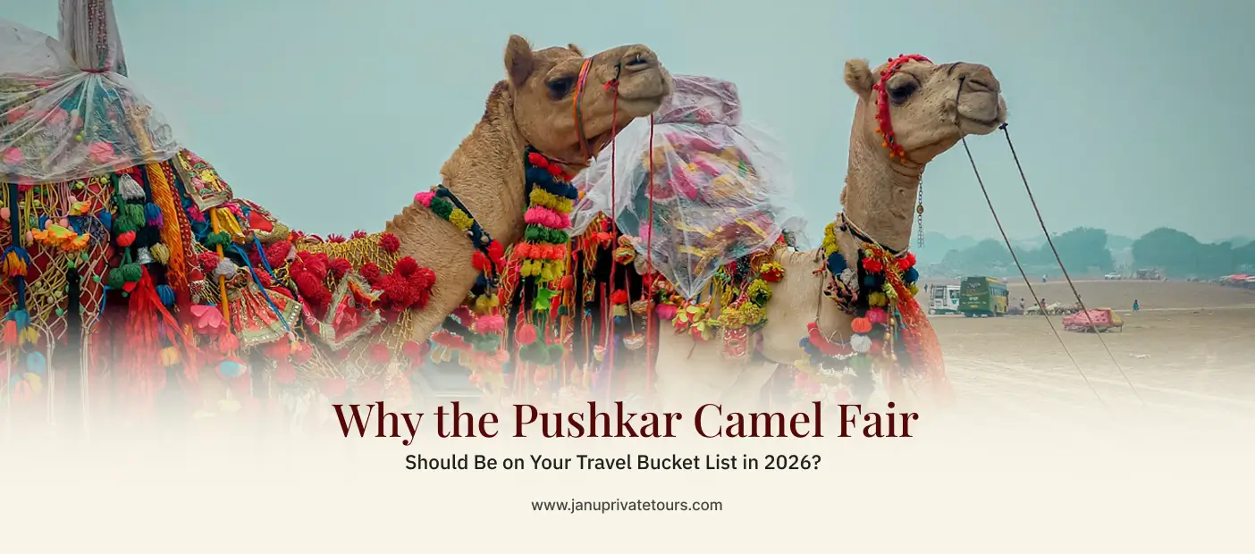 Why the Pushkar Camel Fair Should Be on Your Travel Bucket List in 2026?