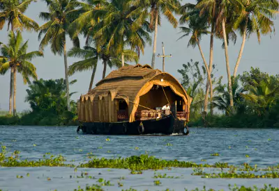 Kochi to Alleppey Backwater Day Trip