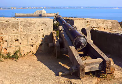 Gir Lion Safari and Diu Tour