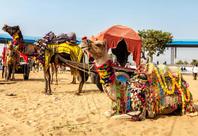 Golden Triangle with Pushkar Camel Fair