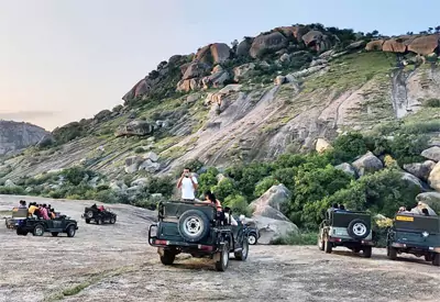Jawai Leopard Safari from Jodhpur