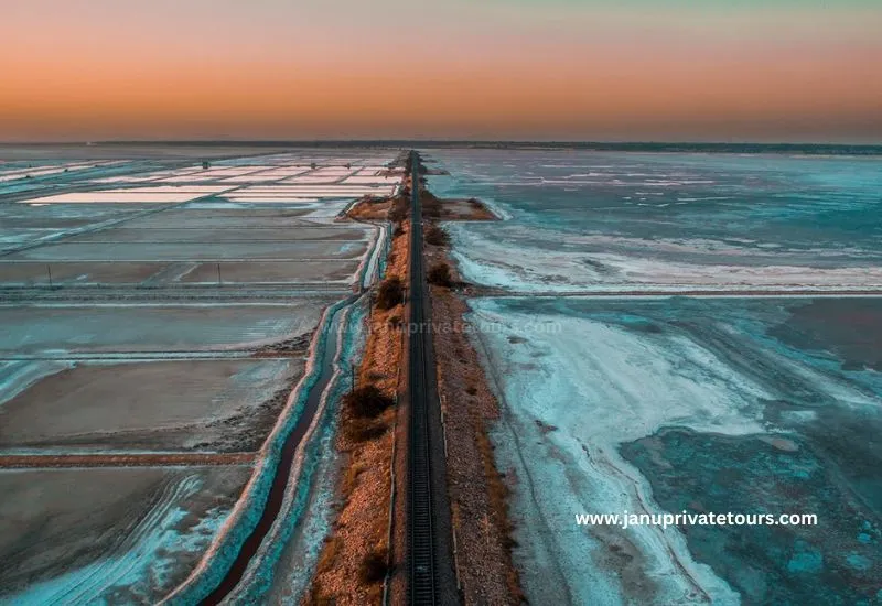Sambhar Salt Lake Tour