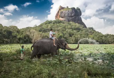 Sri Lanka 11 Days Tour