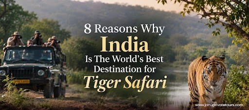8 Reasons Why India Is The World’s Best Destination for Tiger Safari