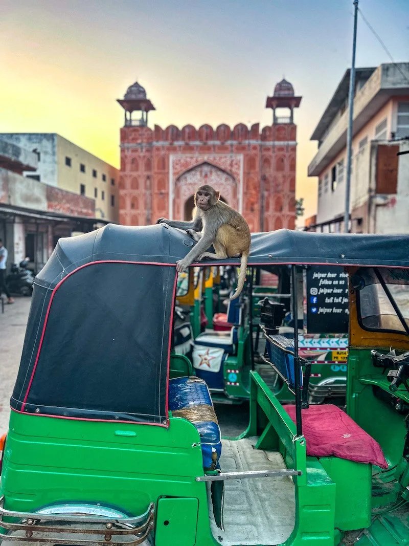 India