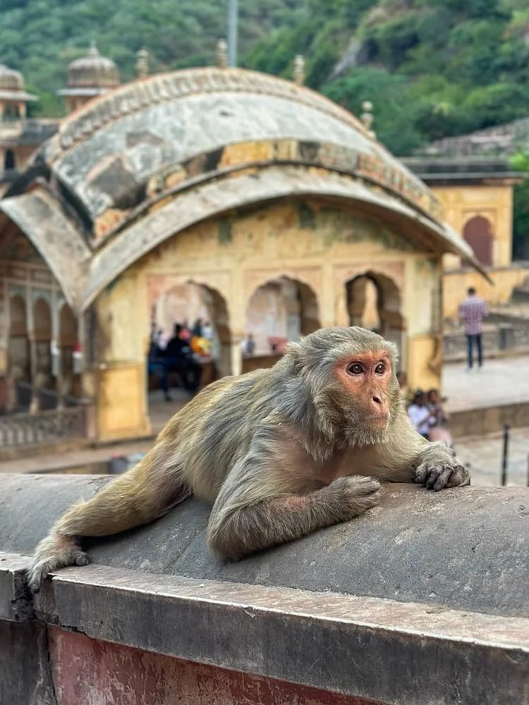 India_75.jpg