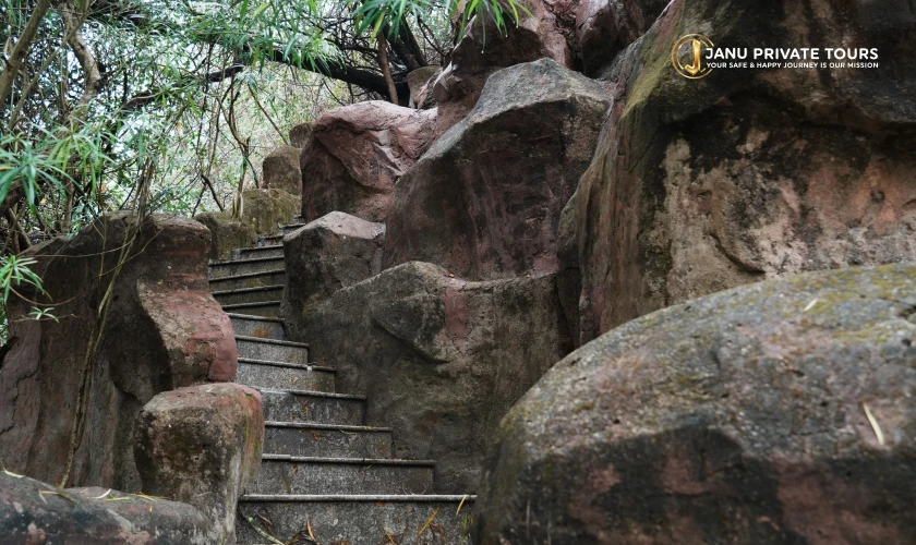 A Journey Through India’s Wilderness