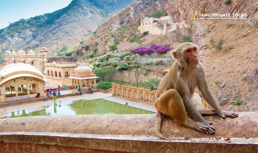 Chand Bori Stepwell Day Trip-1 (1)