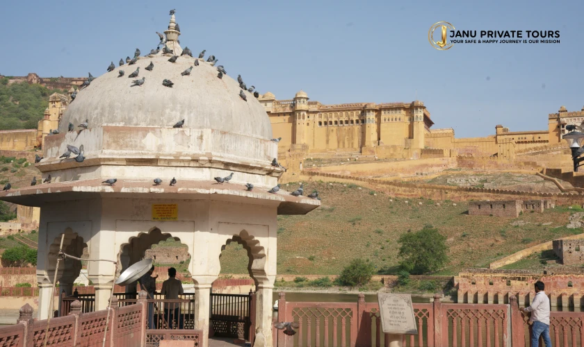 Classic India Heritage Tours (5)
