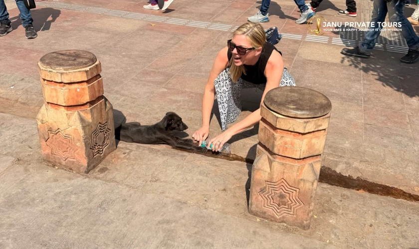 Delhi City Tour with Professional Guide-2