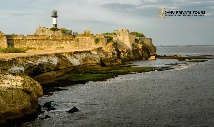 Gir Lion Safari and Diu Tour-1