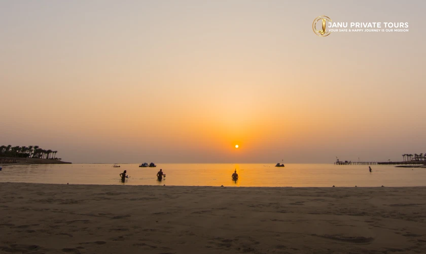 Gir Lion Safari with Rann of Kutch (1)