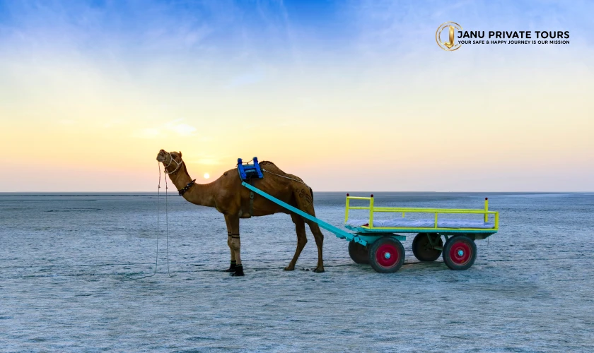 Gir Lion Safari with Rann of Kutch
