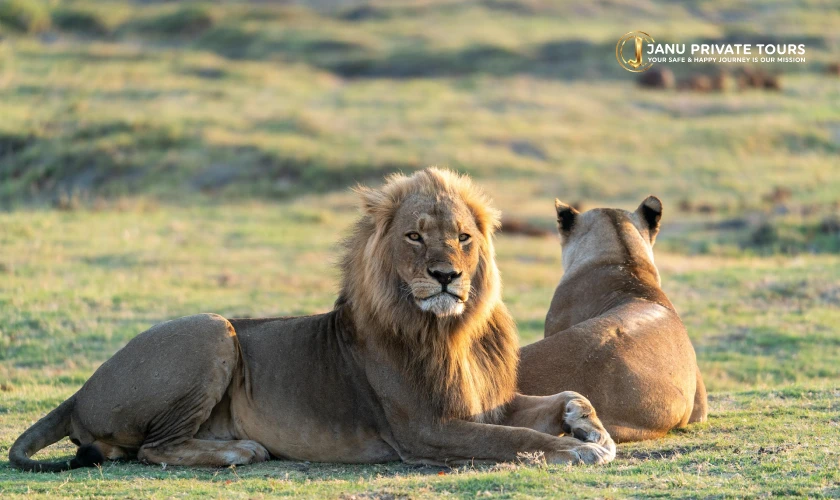 Gujarat Cultural and Wildlife Tour (1)