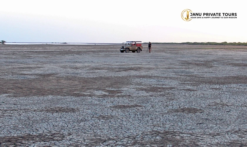 Gujarat Wildlife with Temple Tour (2)