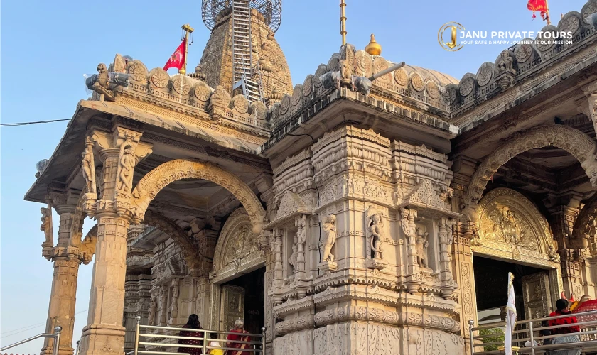 Gujarat Wildlife with Temple Tour (3)