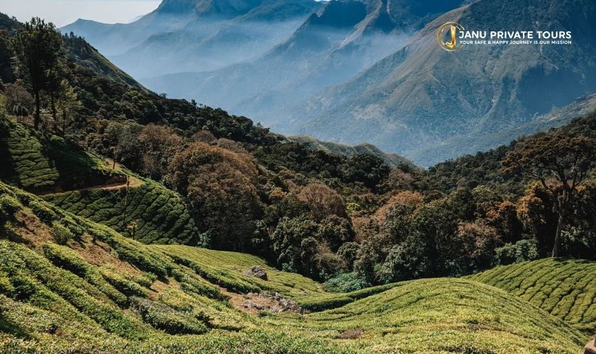 Kerala and Tamil Nadu Tour (1)