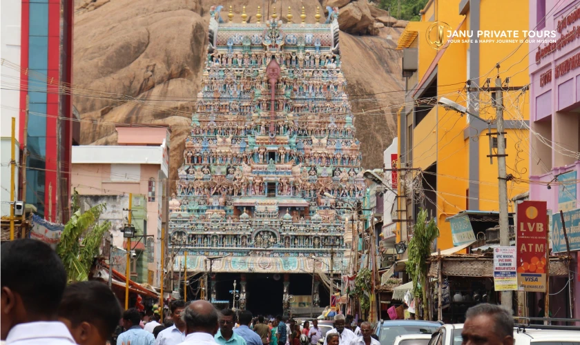 Kerala and Tamil Nadu Tour (3)