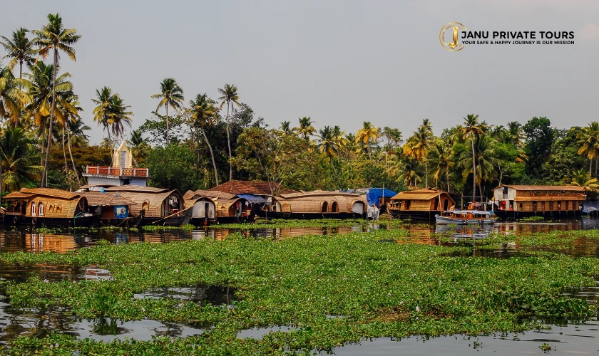 Kochi Alleppey Kovalam Tour (2)