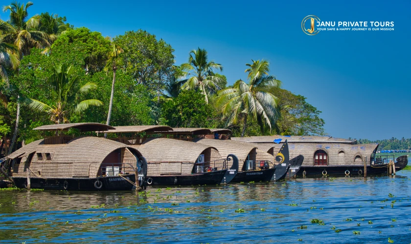 Kochi Alleppey Kovalam Tour (3)