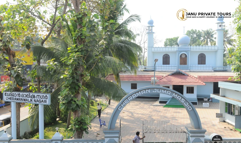 Kochi Jewish and Muziris Heritage Tour-9