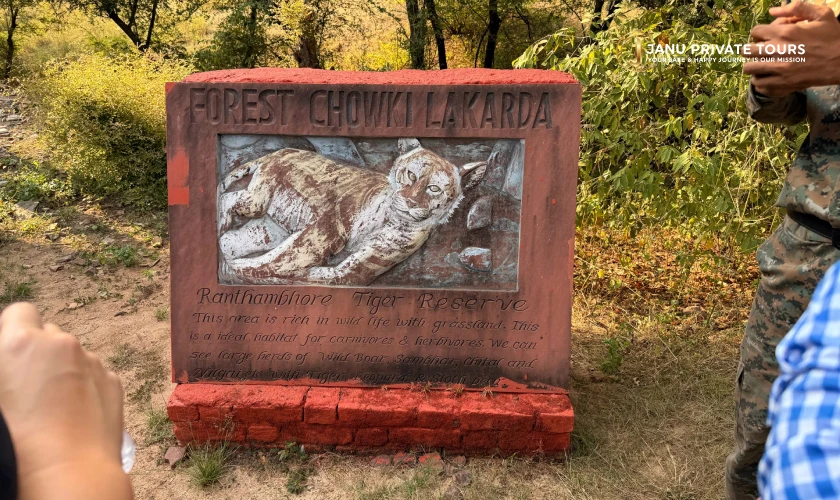 Luxury Ranthambore Tiger Safari (9)