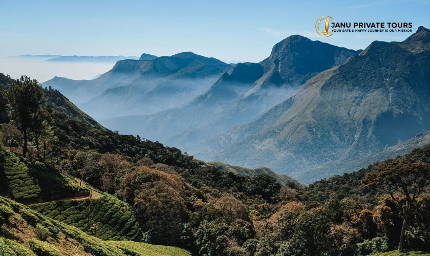 Luxury kerala Tour Package (2)