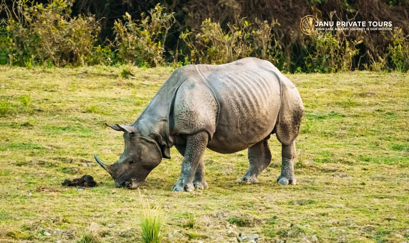 Nepal (4)