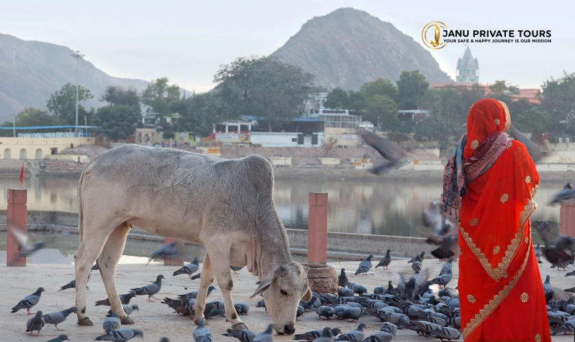 Pushkar Private Same-Day Tour from Jaipur-3