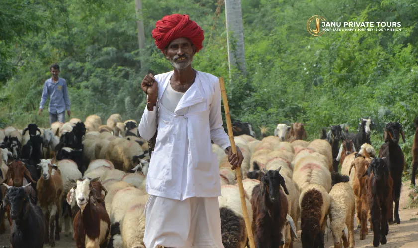 Rajasthan Offbeat Village Tour(7)