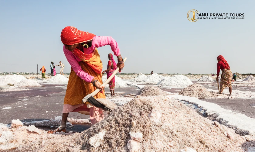 Sambhar salt lake tour-3