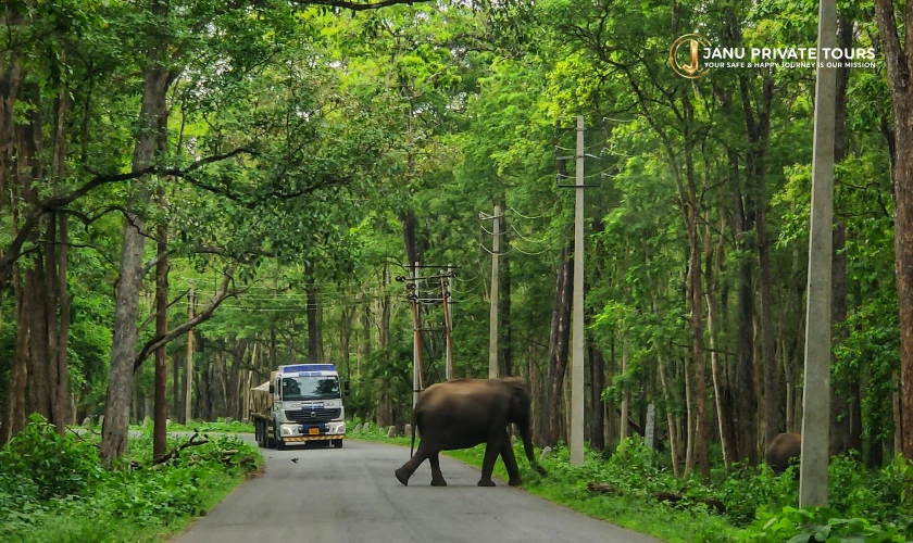 South India 15 Days Tour (2)