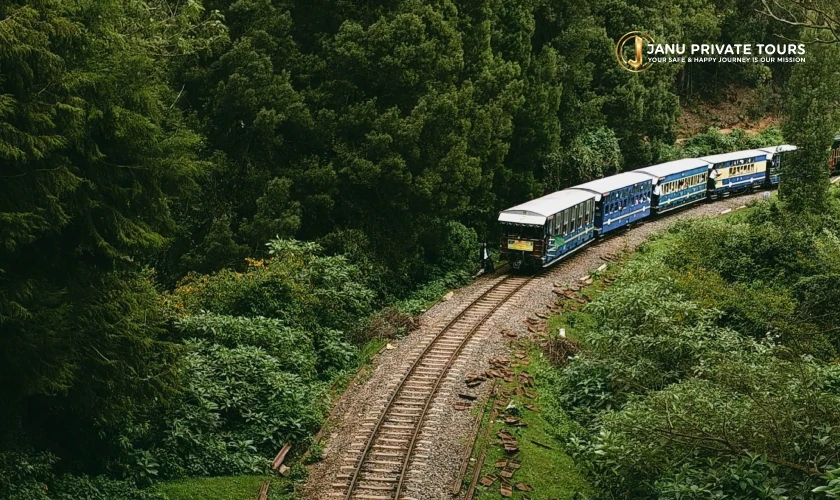 South India 15 Days Tour (3)