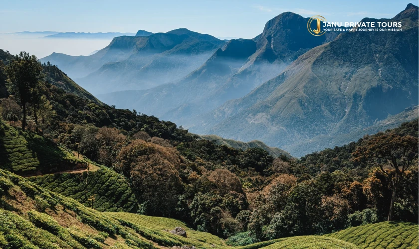 South India 15 Days Tour (4)