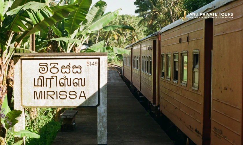 Sri Lanka (5)