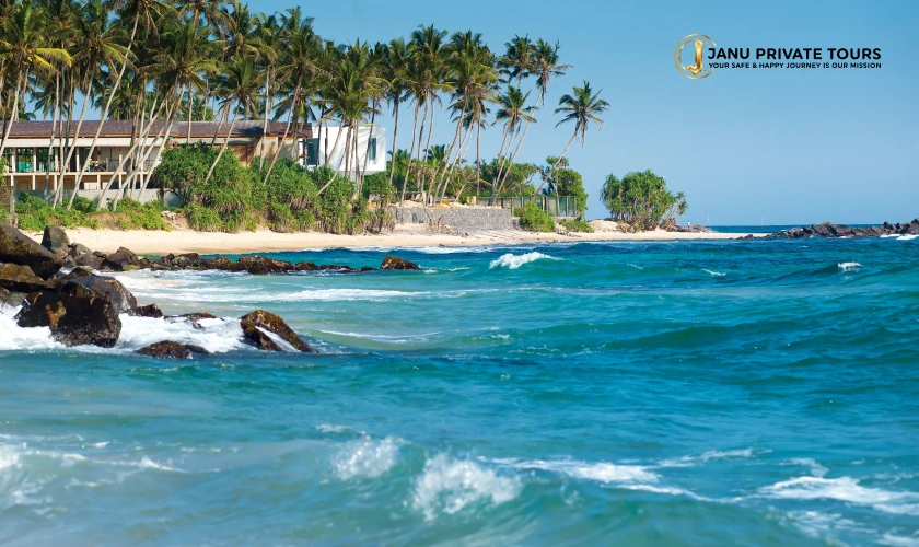 Sri Lanka (7)