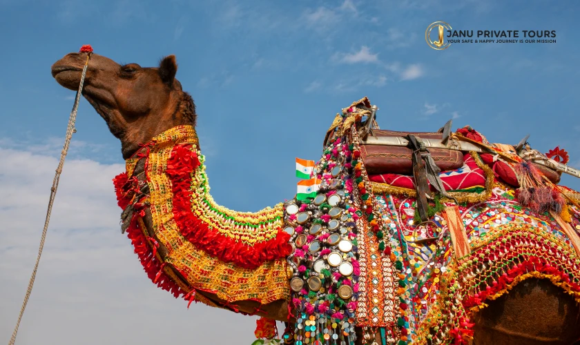 golden-triangle-with-pushkar-camel-fair-2