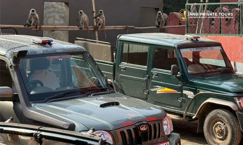 golden-triangle-with-ranthambore-tiger-safari-4