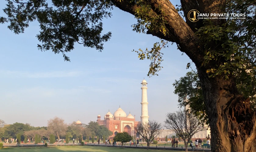 golden-triangle-with-sariska-tiger-safari-2 (1)