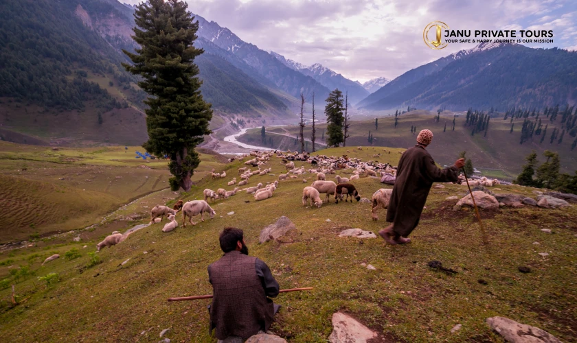 himalayan-overland-odyssey-tour-1