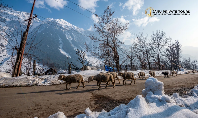 himalayan-overland-odyssey-tour-3
