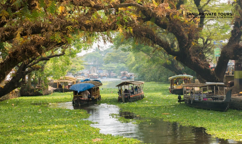 kerala-and-tamil-nadu-tour-4