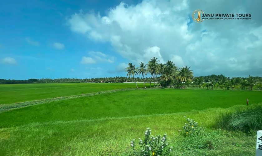 kerala-one-day-tour3